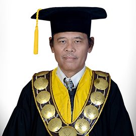 Prof. Dr. Biner Ambarita, M.Pd