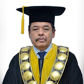 Prof. Dr. Berlin Sibarani, M.Pd