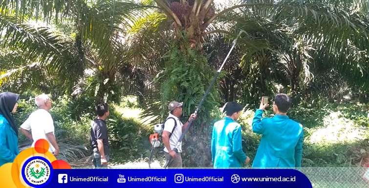 Mahasiswa Unimed Kembangkan Mesin Pemotong Rumput jadi Alat Panen Kelapa Sawit