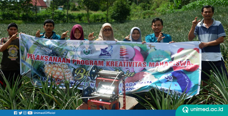 Mahasiswa Unimed Ubah Daun Nenas Jadi Bantal Anti Insomnia