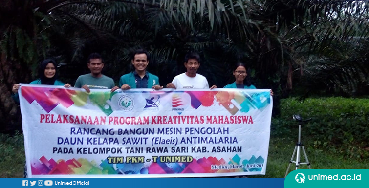 Pemanfaatan Daun Kelapa Sawit Menjadi Antimalaria