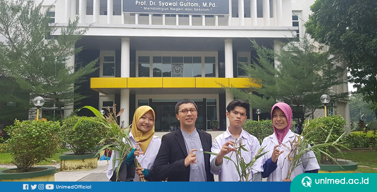 Mahasiswa UNIMED Teliti Tanaman Hanjeli untuk Pengembangan Bioteknologi