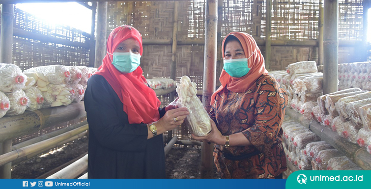 Dosen Biologi FMIPA Unimed kembangkan Budidaya Jamur Tiram di Kampus