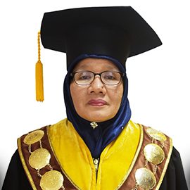 Prof. Dr. Fauziyah Harahap, M.Si.