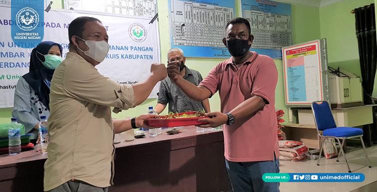 LPPM UNIMED Kembangkan Inovasi Hidroponik Rumahan pada Masyarakat Desa Paya Gambar